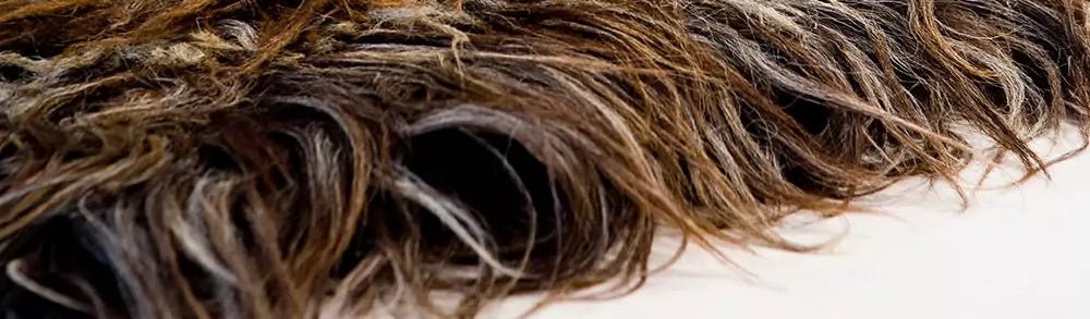 Chalište - Balkanova Chalište - Balkanova