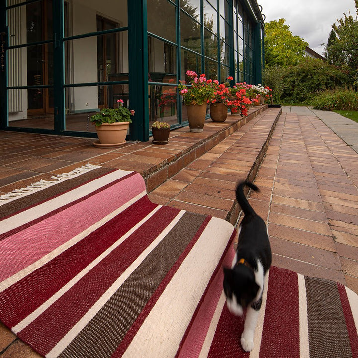 Běhoun XII Běhoun XII