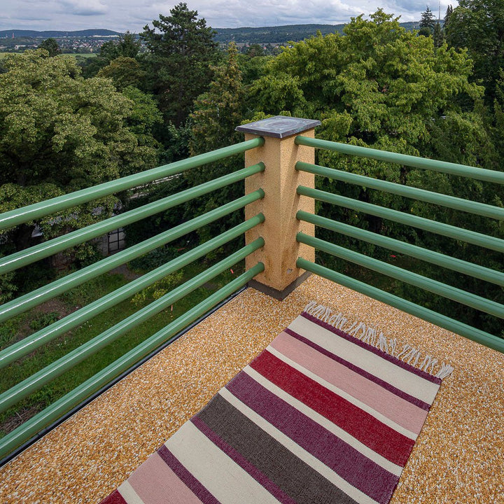 Běhoun XII Běhoun XII