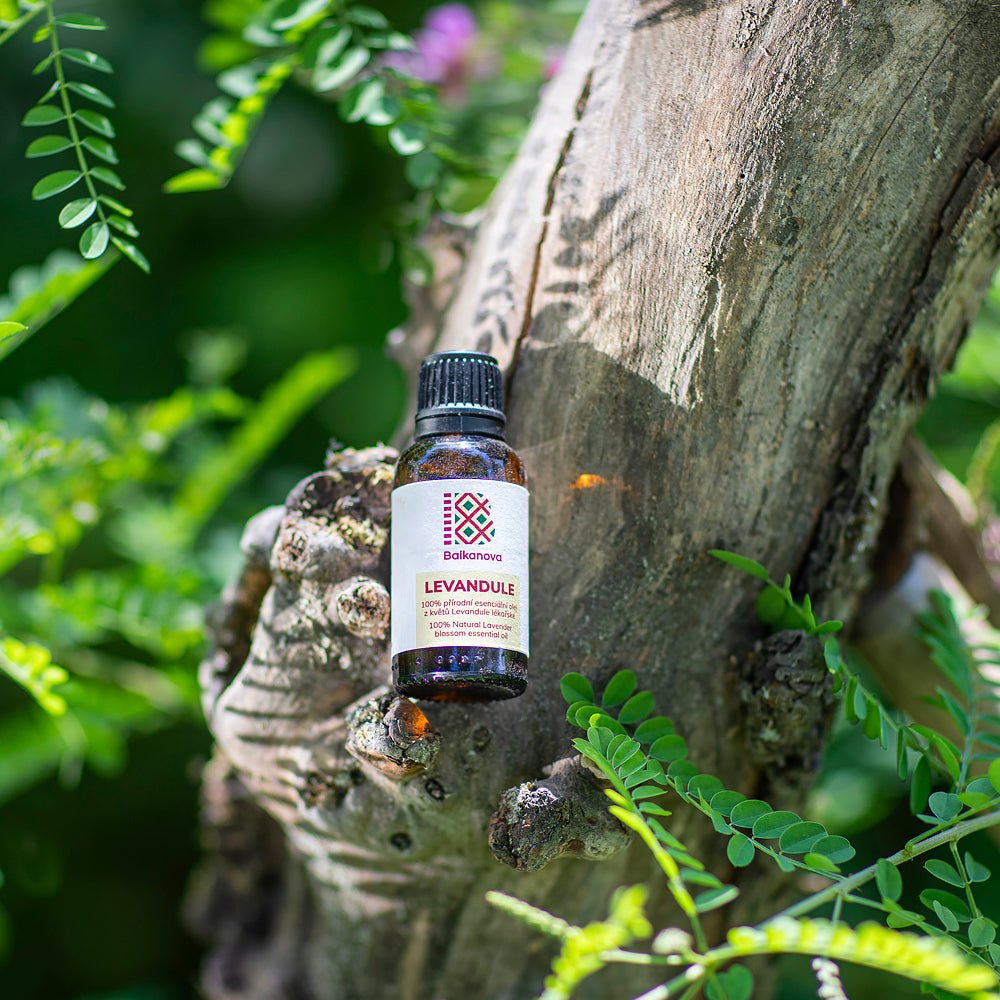 Lavender Essential Oil – 10 ml-Balkanova