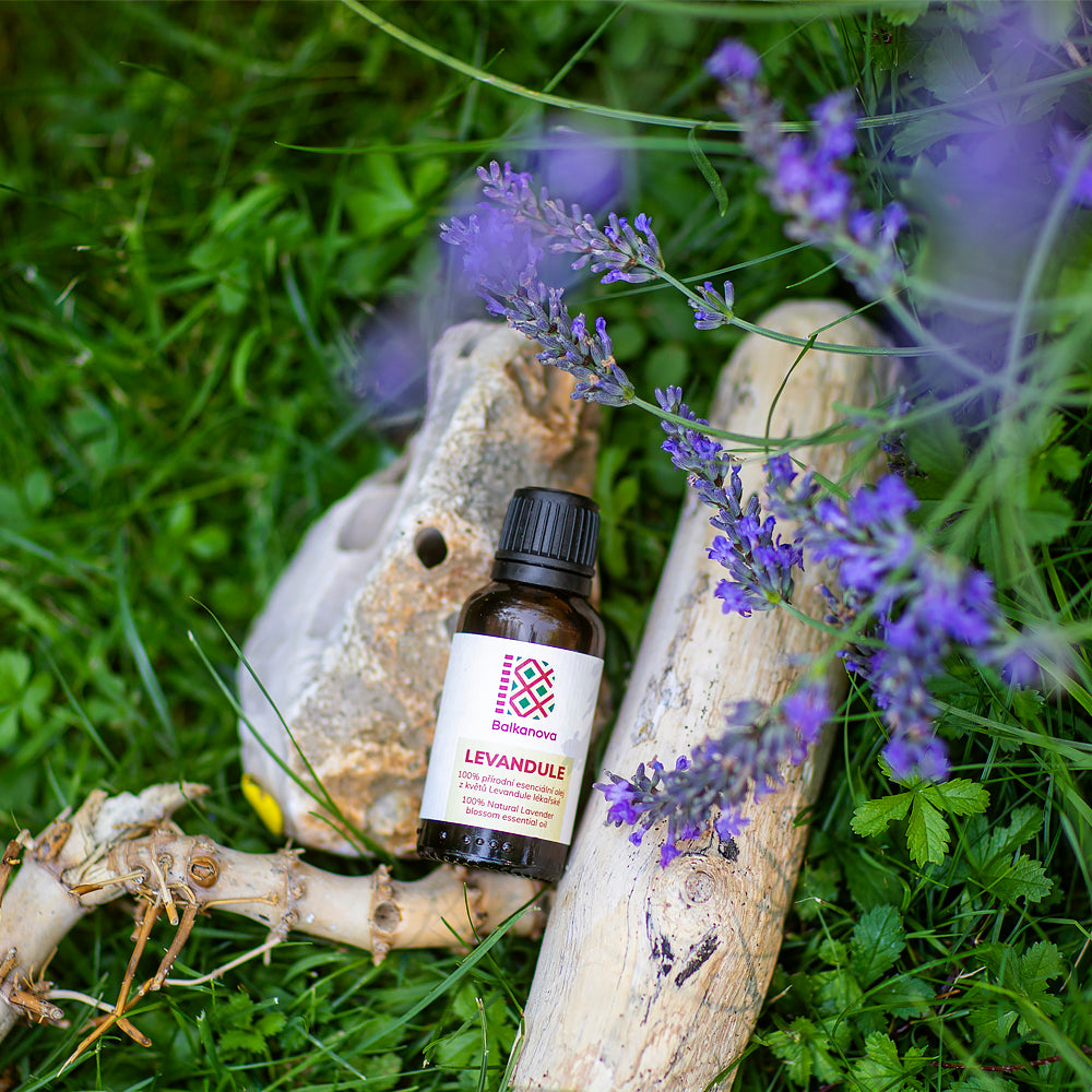 Lavender Essential Oil - 10ml
