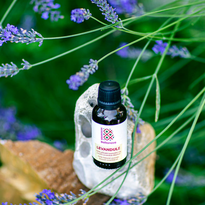 Lavender Essential Oil - 10ml