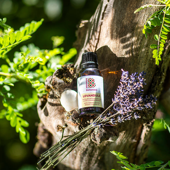 Lavender Essential Oil - 10ml