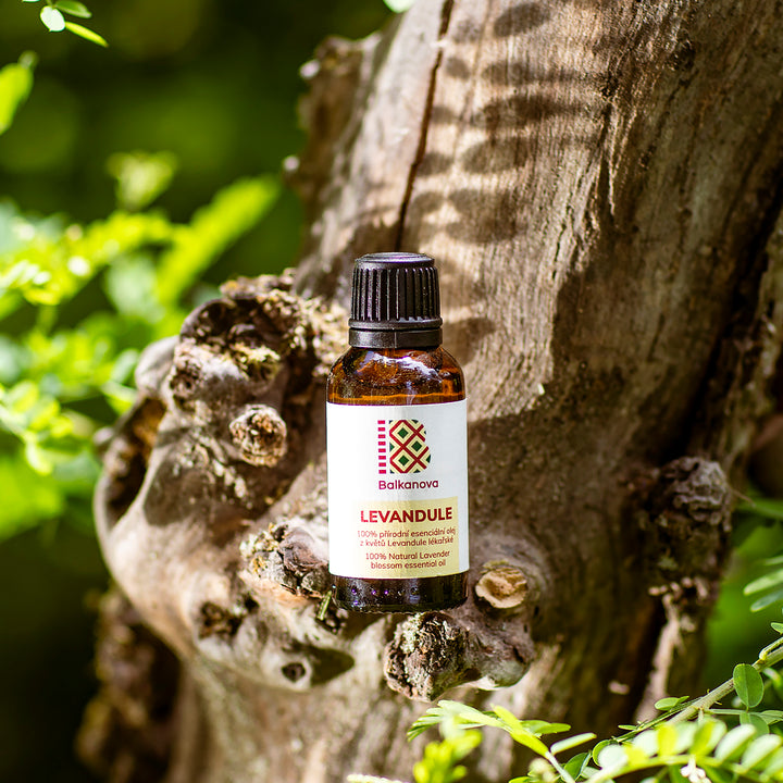Lavender Essential Oil - 10ml