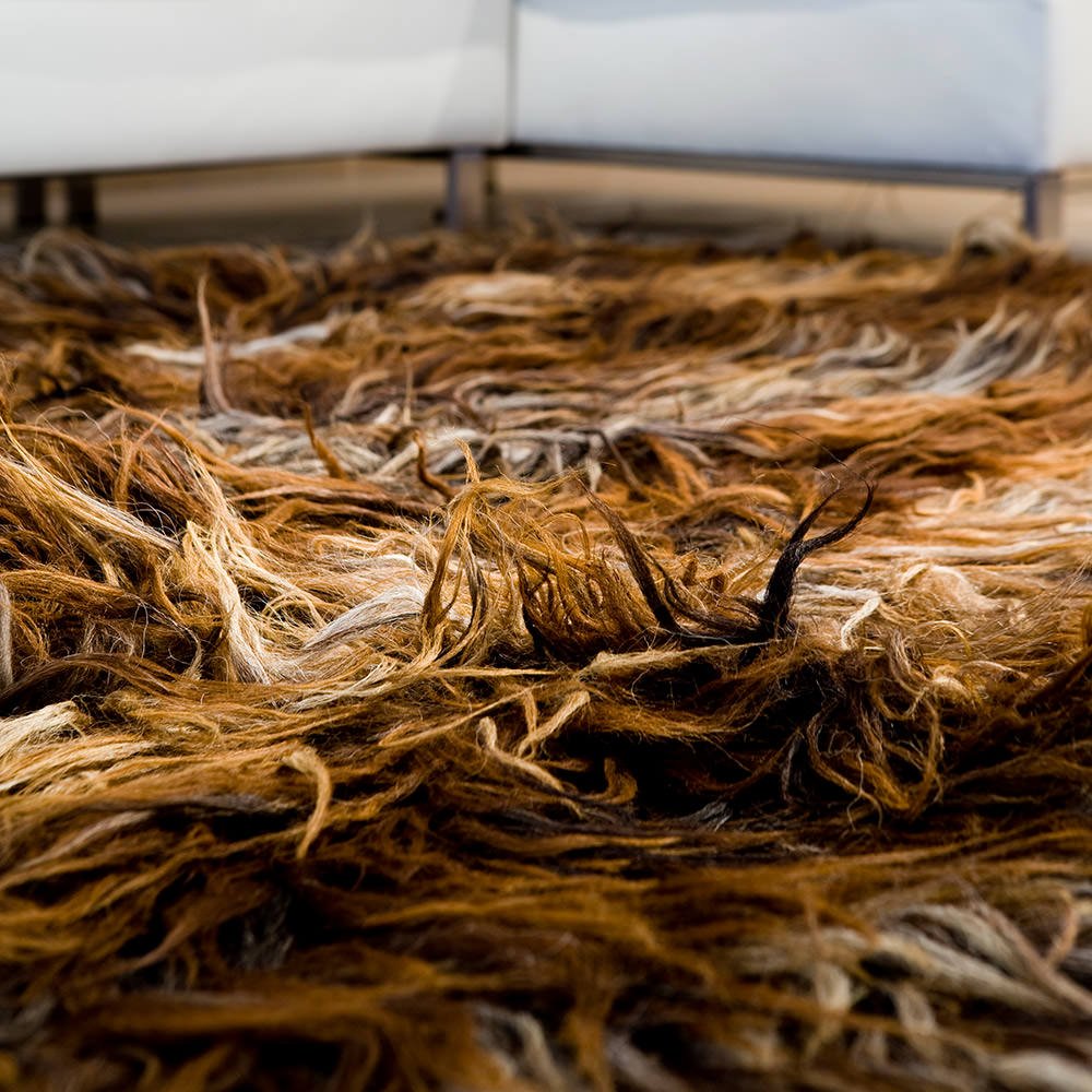Hand-knotted carpet Halishte of dark wool I-Balkanova